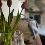 Villa Urban River House Florina