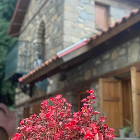 Urban River House Villa Florina