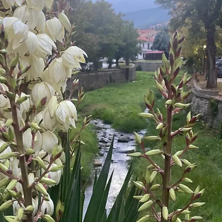 Urban River House * Florina