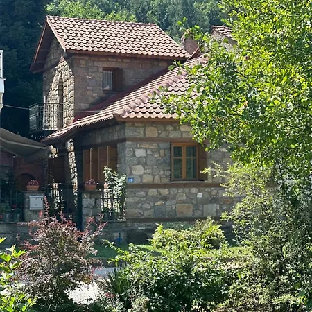 Urban River House Florina