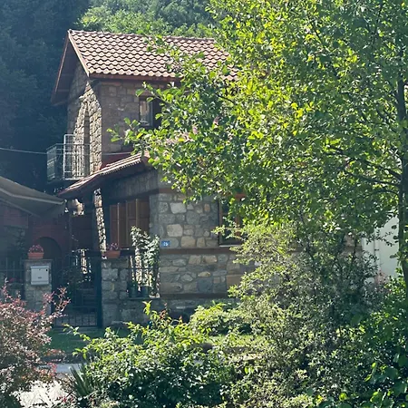 Urban River House *
