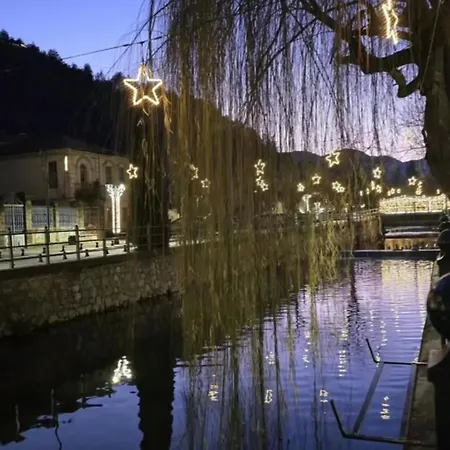 Urban River House