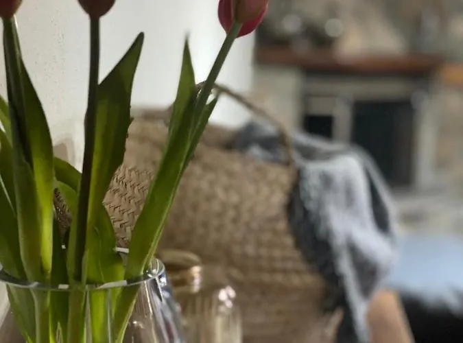 Villa Urban River House Florina